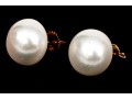 14k Yellow Gold Striking 13mm Cultured Freshwater Pearl Earrings