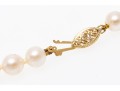 14K Complimentary Pearl Necklace And Stud Earrings