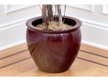 Faux Ficus Tree In Resin Planter