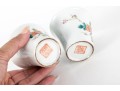 Pair Of Chinese Famille Rose Porcelain Cups