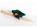 Flamand ITALY Felt Robin Hood Hat
