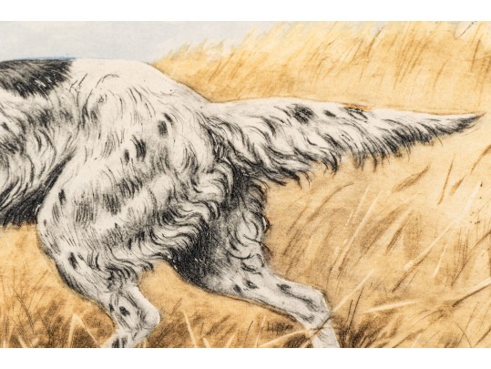 Paul Wood Print Of An English Setter