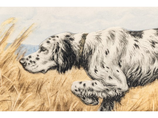 Paul Wood Print Of An English Setter