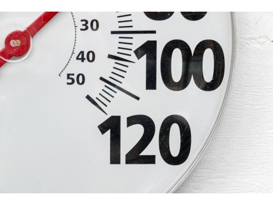 Oversized Taylor Thermometer
