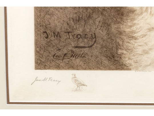 John Martin Tracy (1844-1893) Engraved Print Of English Setter By Emil Miler 