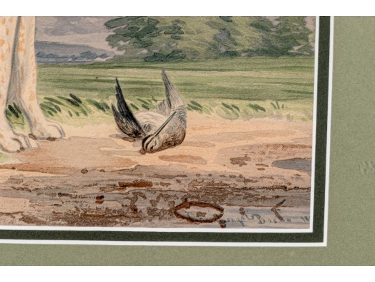 Print Of English Setter