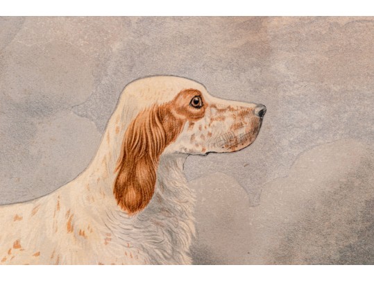 Print Of English Setter