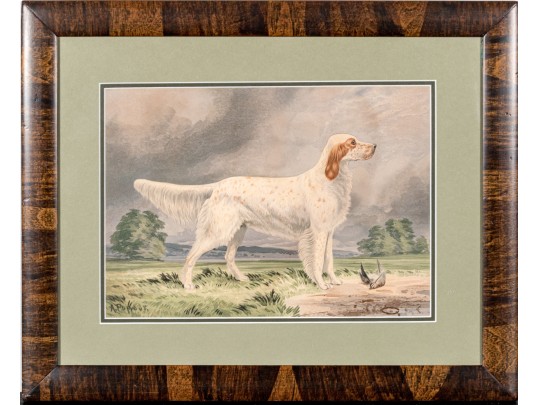 Print Of English Setter