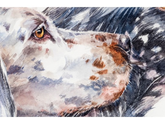 Signed Watercolor On Paper, Two English Setter Busts