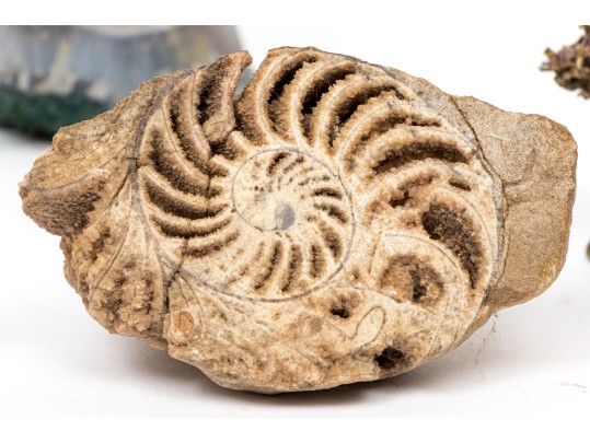 Collection Of Geodes And Decorative Objects