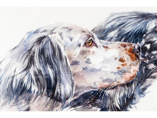 Signed Watercolor On Paper, Two English Setter Busts