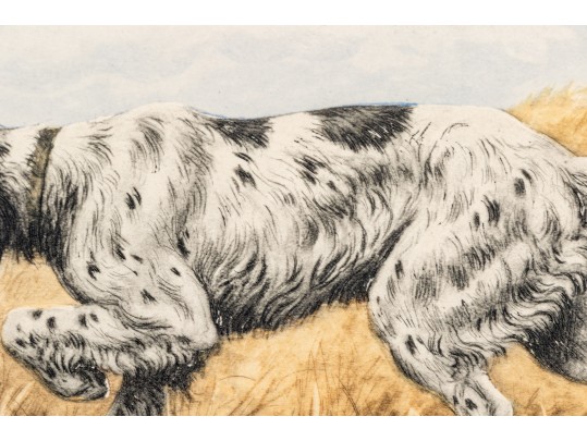 Paul Wood Print Of An English Setter