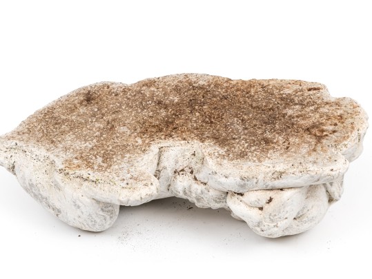 Painted Cast Stone Sleeping Puppy