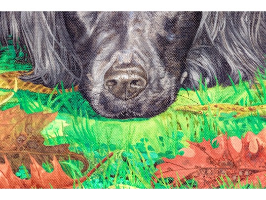 Stephen Brown Robie (American [MA], B. 19534) Oil On Canvas, Portrait Of A Dog, 1984