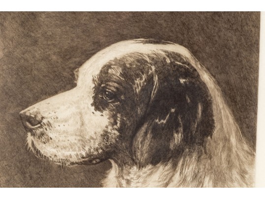 John Martin Tracy (1844-1893) Engraved Print Of English Setter By Emil Miler 