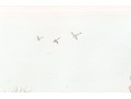 Boris O'Klein Pencil Signed Color Etching