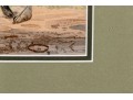 Print Of English Setter
