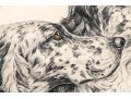 Print, Two English Setters