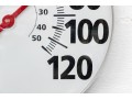 Oversized Taylor Thermometer