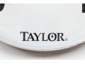 Oversized Taylor Thermometer