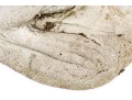 Cast Stone Kangaroo