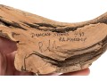 P.A. Manship 