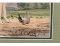 Print Of English Setter