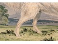 Print Of English Setter