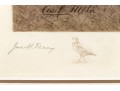 John Martin Tracy (1844-1893) Engraved Print Of English Setter By Emil Miler 