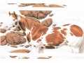 Bev Doolittle Ltd Ed. Print Horses
