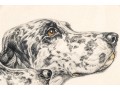 Print, Two English Setters