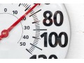Oversized Taylor Thermometer