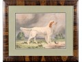 Print Of English Setter
