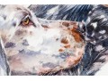 Signed Watercolor On Paper, Two English Setter Busts