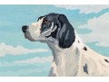 Adorable Paint By Numbers On Board, English Setter In Landscape