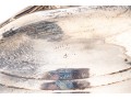 Collection Of Small Sterling And 800 Silver Items    12.265 Troy Ozs. 