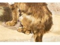 Decorative Print After An Original Print, 