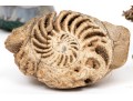 Collection Of Geodes And Decorative Objects