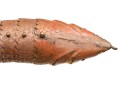 Reticulated Brass Fish With Inlaid Eyes