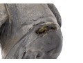 Phil Cote Bronze Finished Composition Head Of A Retriever Dog On Stand