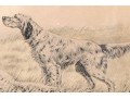 Leon Danchin (French, 1887-1938) Ltd. Ed. Lithograph, Setters In The Landscape