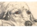 Leon Danchin (French, 1887-1938) Ltd. Ed. Lithograph, English Setters 