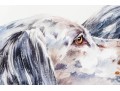 Signed Watercolor On Paper, Two English Setter Busts