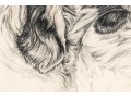 Print, Two English Setters