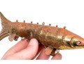 Reticulated Brass Fish With Inlaid Eyes