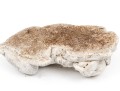 Painted Cast Stone Sleeping Puppy