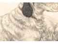 Leon Danchin (French, 1887-1938) Ltd. Ed. Lithograph, English Setters 