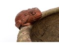Large Ceramic Planter With Perched Frogs