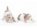 Duo Lladro Porcelain Puppies