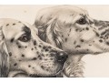 Leon Danchin? Ltd Ed Lithograph On Paper